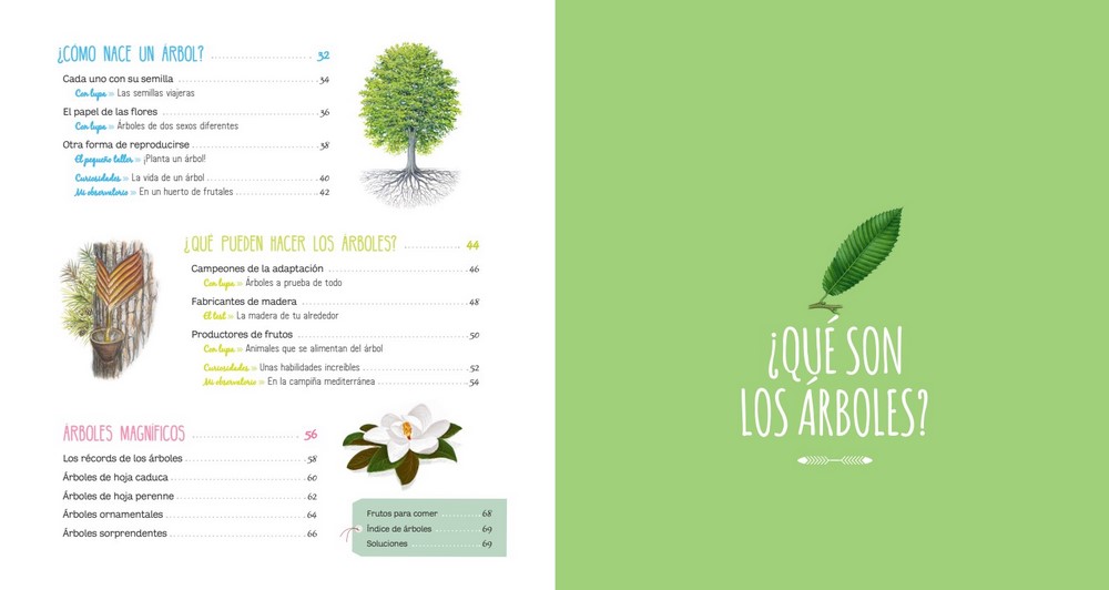 Índice de El Libro de los Árboles, una guía interactiva para descubrir el increíble mundo de los árboles