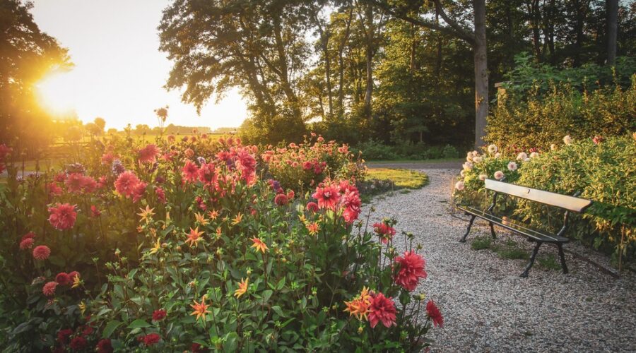 Jardín de dalias en el Castillo de Keukenhof, Países Bajos