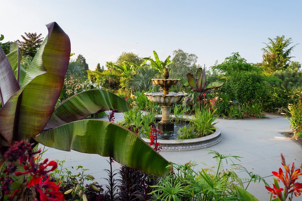 The Exotic Garden, jardín con aire tropical en Wisley