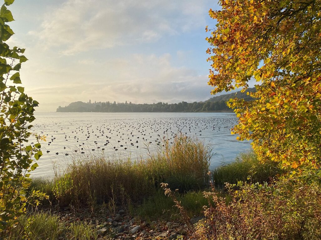 Vistas al Lago Constanza, Alemania