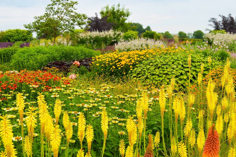 Jardín de muestra de plantas vivaces en tonos amarillos en Appeltern: diferentes borduras de herbáceas donde encontrar inspiración