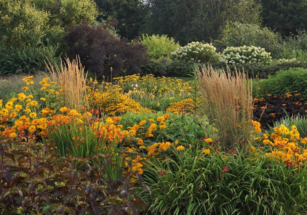 Jardín de muestra de plantas vivaces en Appeltern: diferentes borduras de herbáceas donde encontrar inspiración
