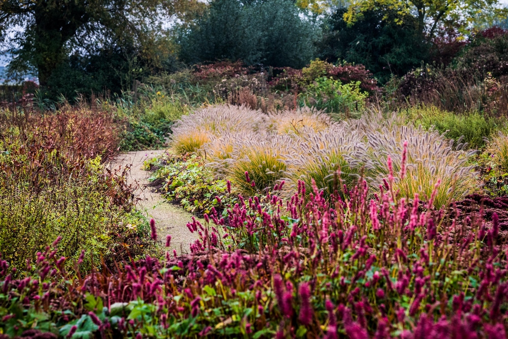 Jardín de plantas vivaces en Appeltern: diferentes borduras de herbáceas donde encontrar inspiración