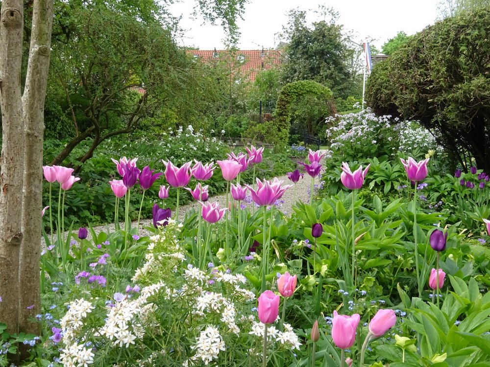 De Theetuin (Jardín de Té), Wesp, Países Bajos. Jardín de plantas bulbosas de flor combinadas con vivaces y arbustos diseñado por Jacqueline van der Kloet