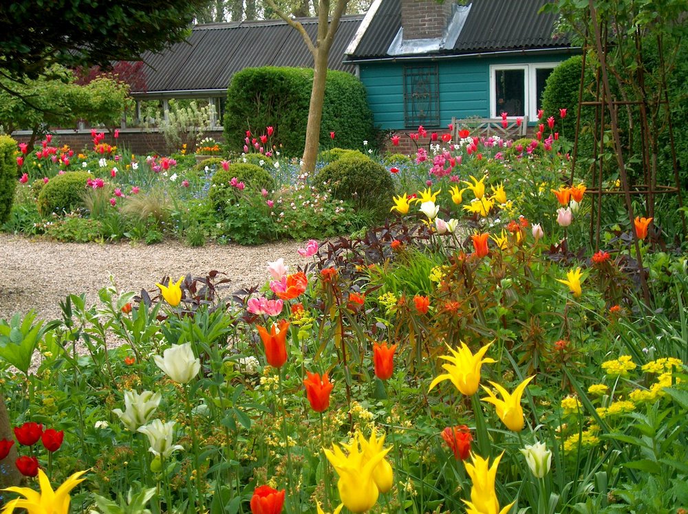 De Theetuin (Jardín de Té), Wesp, Países Bajos. Jardín con tulipanes combinados con vivaces y arbustos diseñado por Jacqueline van der Kloet