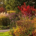 Paleta de otoño en el jardín inglés Borde Hill