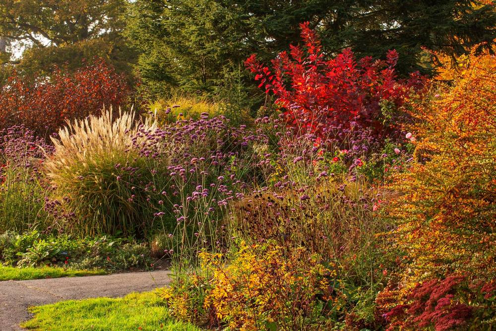 Jardines ingleses en otoño y bordura en Borde Hill Garden con fotografías de Clive Nichols
