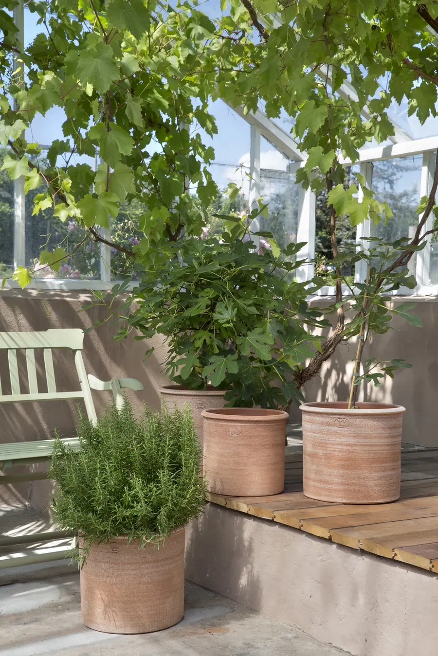 Maceta de terracota hecha a mano con arcilla italiana cruda de primera calidad apta para plantas de exterior