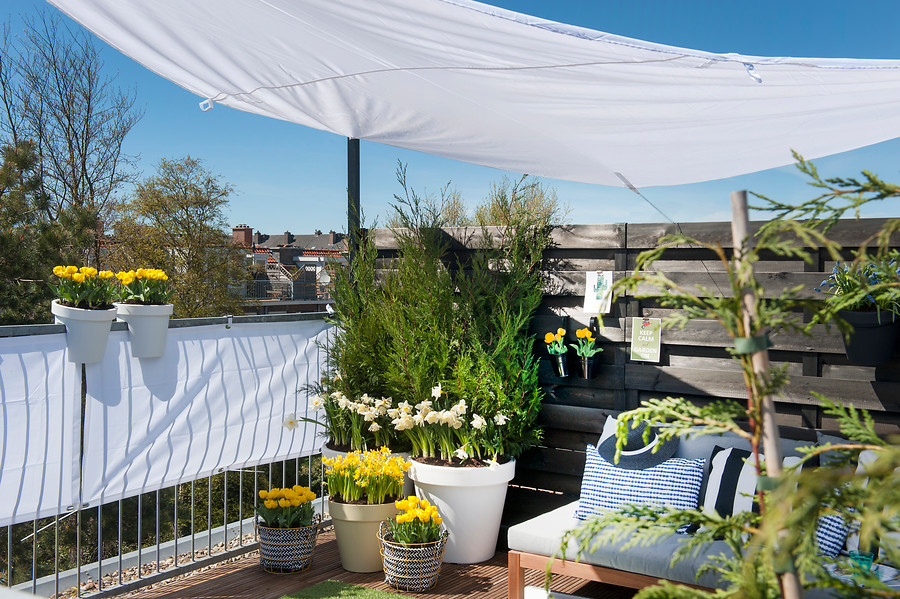 Terraza con macetas de tulipanes amarillos y narcisos blancos