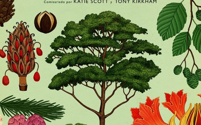 Arboretum libro ilustrado por Katie Sott y textos de Tony Kirkham