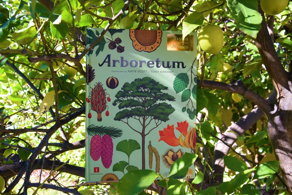 arboretum libro ilustraciones árboles de Katie Scott