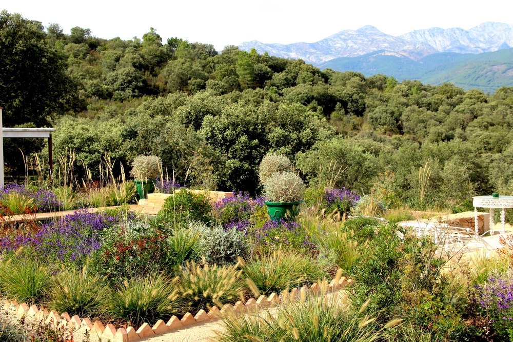 Jardín seco o jardín sin riego con plantación naturalista en la Sierra de Gredos, Ávila 