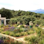 Jardín seco o jardín sin riego con plantación naturalista en la Sierra de Gredos, Ávila