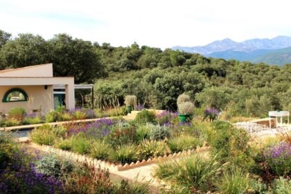 Jardín seco o jardín sin riego con plantación naturalista en la Sierra de Gredos, Ávila