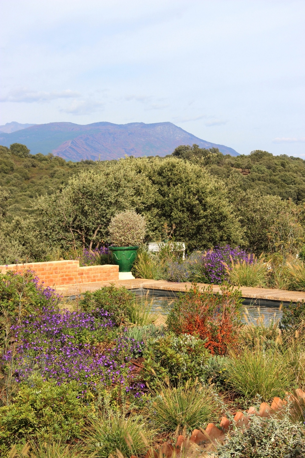 Jardín seco o jardín sin riego con plantación naturalista en la Sierra de Gredos, Ávila 