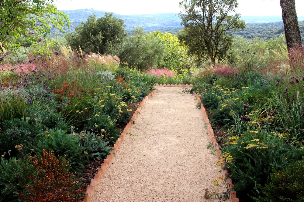 Jardín seco o jardín sin riego diseñado por Clara Muñoz-Rojas y Belén Moreu con plantación naturalista en la Sierra de Gredos, Ávila 