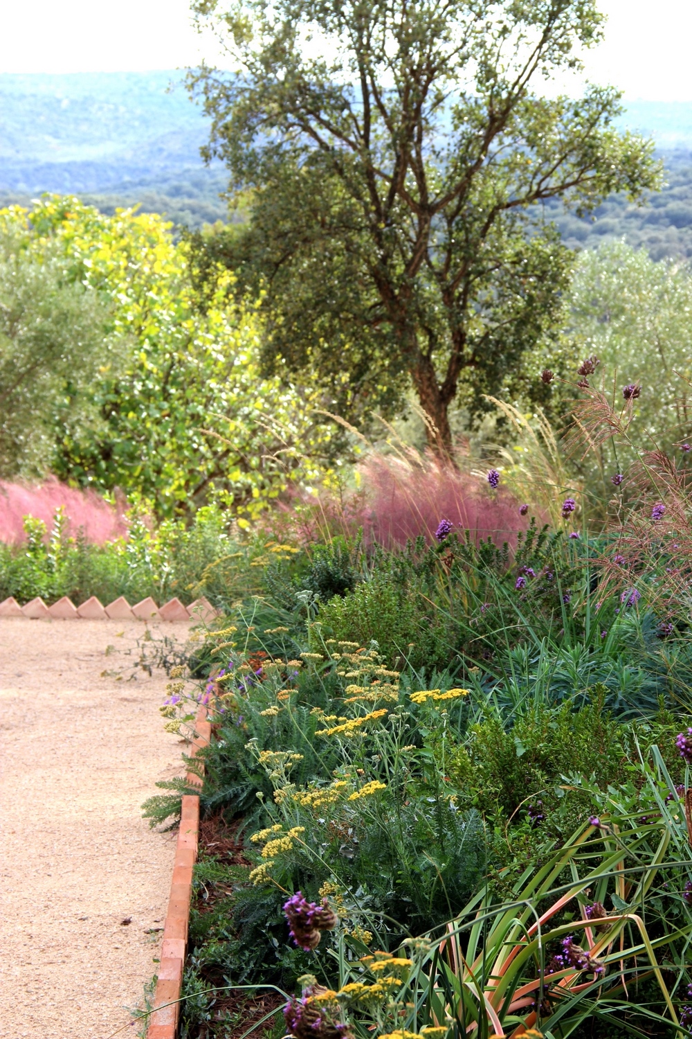 Jardín seco o jardín sin riego con plantación naturalista en la Sierra de Gredos, Ávila 