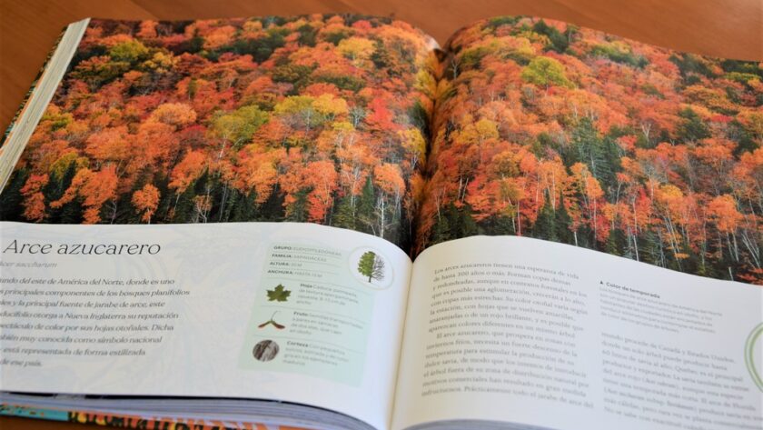 El libro del árbol