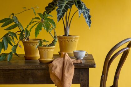 Maceteros para plantas de interior, modelados por alfareros toscanos y esmaltados a mano