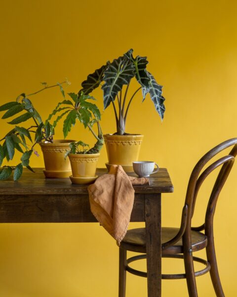 Maceteros para plantas de interior, modelados por alfareros toscanos y esmaltados a mano