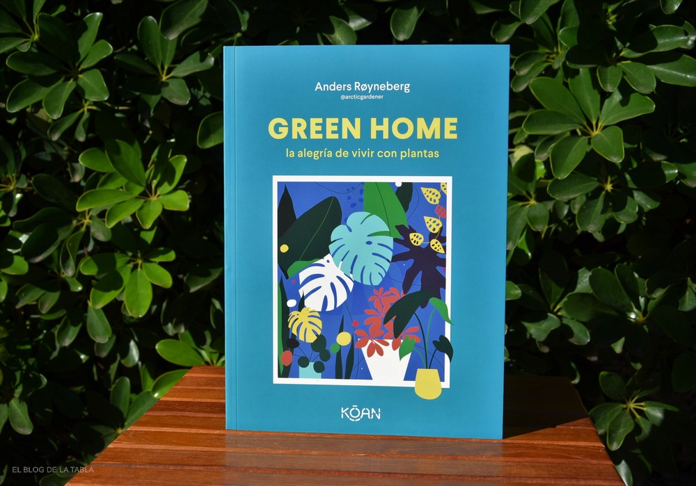 Green Home, una guía de plantas de interior como grandes aliadas de nuestro bienestar
