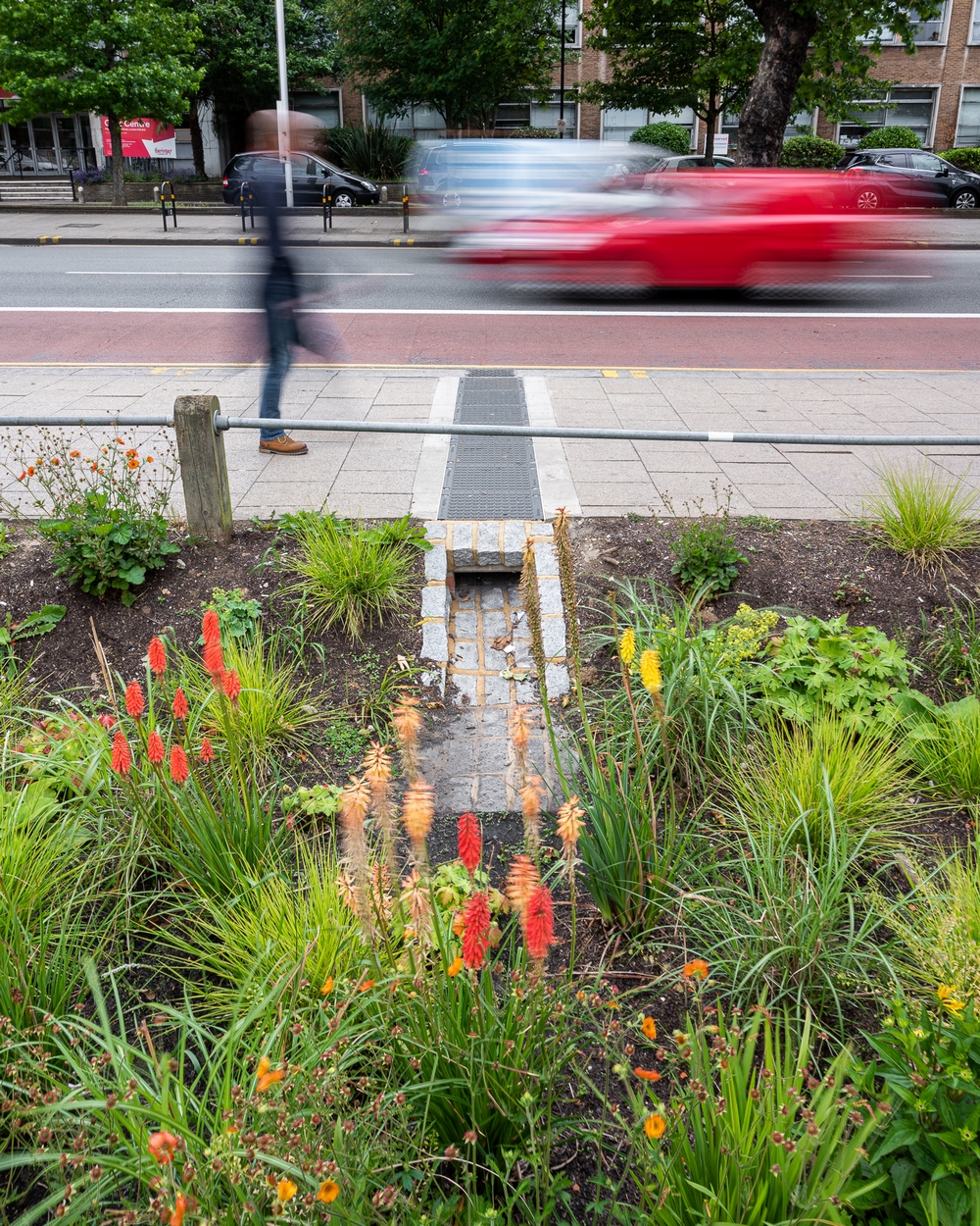 Jardín de lluvia urbano, drenaje sostenible con valor social y medioambiental - EL BLOG DE LA TABLA