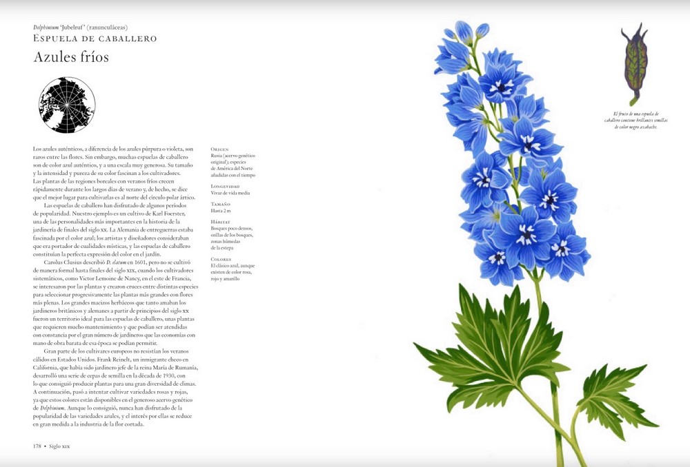 La historia de las flores, libro de Noel Kingsbury, espuela de caballero