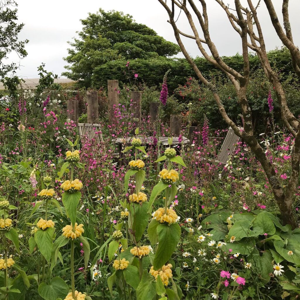 Jardín forestal con plantas vivaces en flor