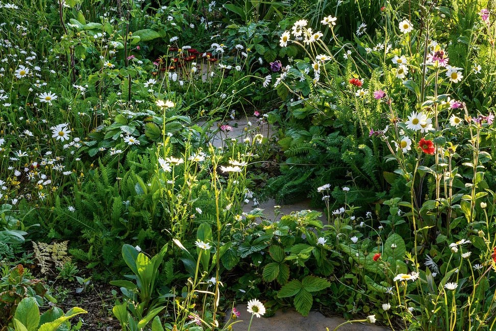 Flores creciendo en un jardín forestal