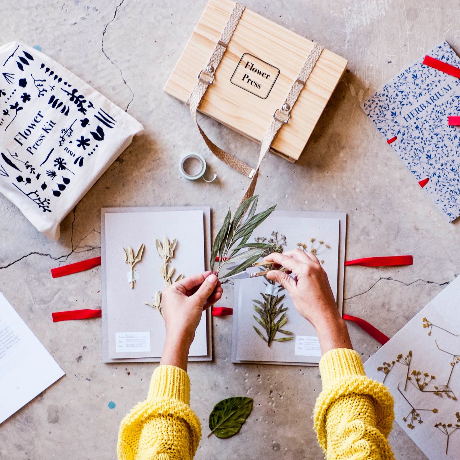 C mo Hacer Un Herbario Aprende A Secar Y Prensar Plantas EL BLOG DE c-mo-hacer-un-herbario-aprende-a-secar-y-prensar-plantas-el-blog-de