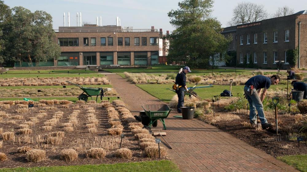 Jardín gramíneas Kew Gardens cutting back recorte de gramíneas