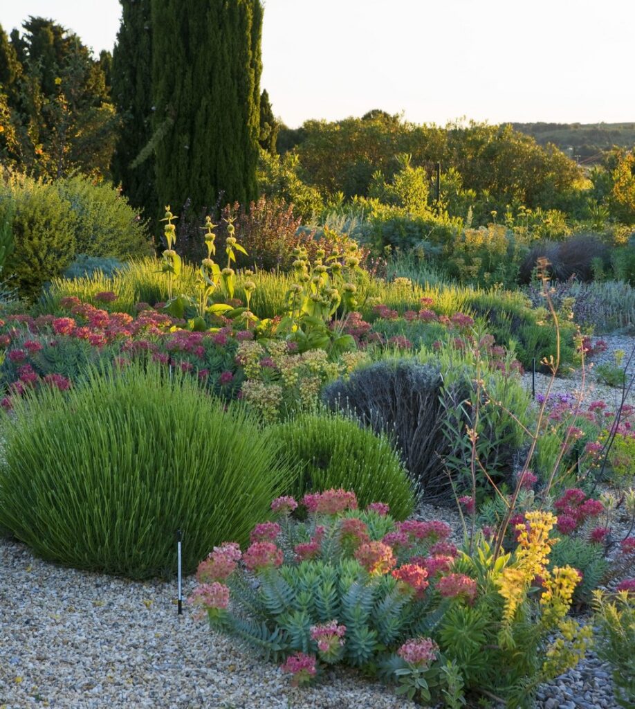 jardín seco vivero Filippi