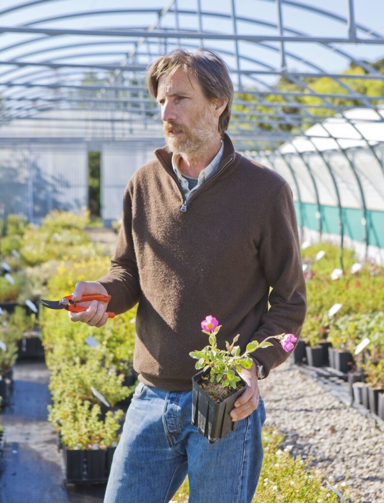 Olivier Filippi en Pépinière Filippi, su vivero de plantas mediterráneas para jardín seco en Mèze