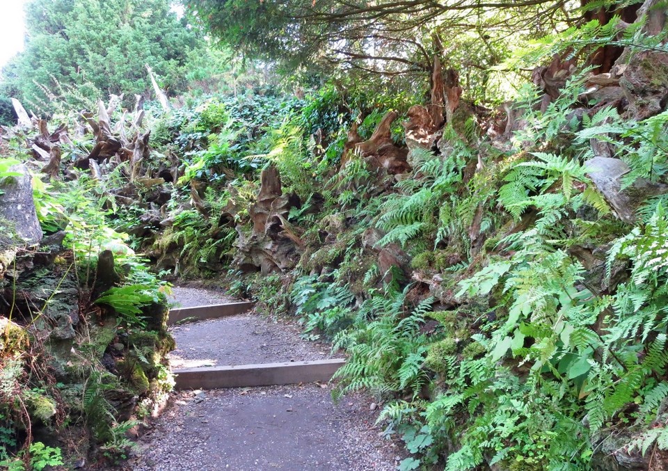 Stumpery tocones árboles muertos época victoriana