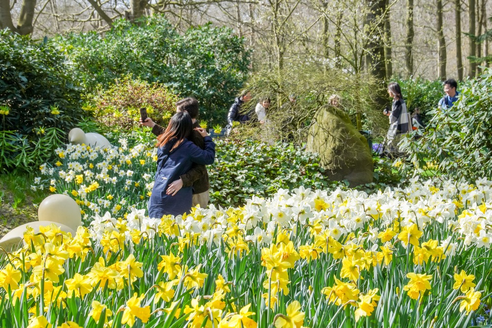 Keukenhof jardín tulipanes primavera 2023