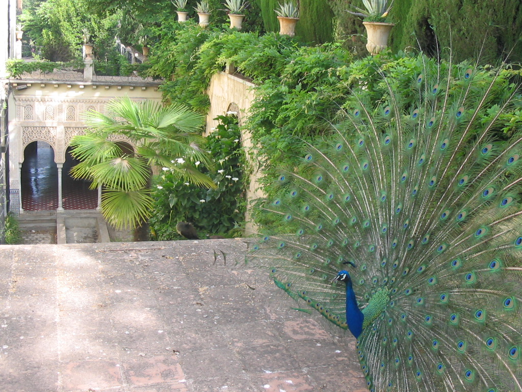 Jardines con Historia tercera temporada. Carmen de los Mártires