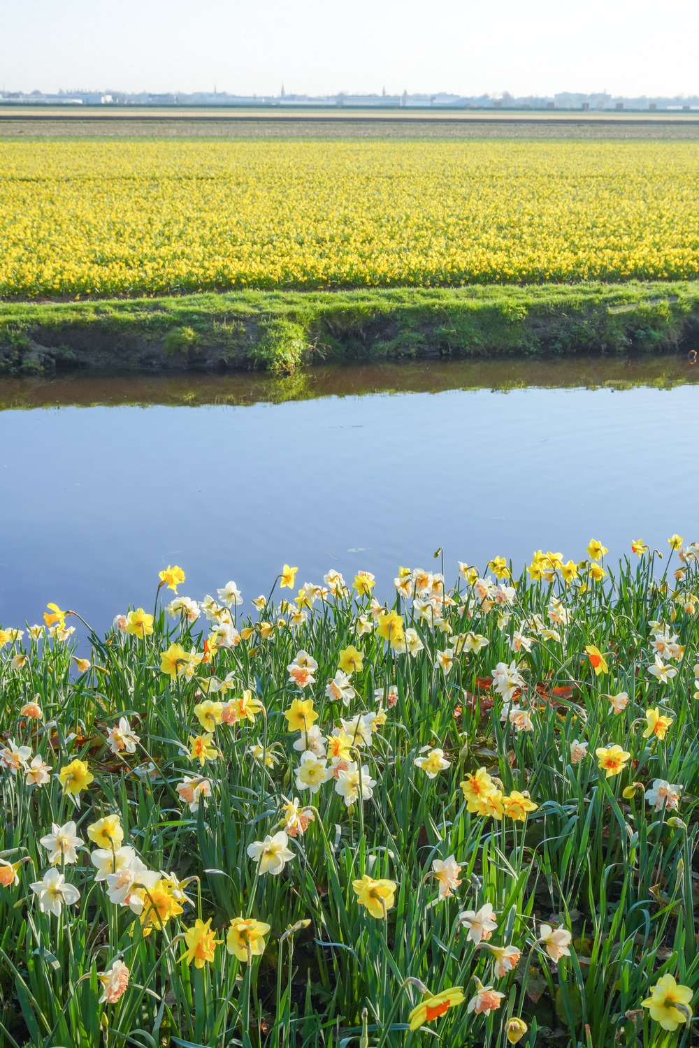 Keukenhof jardín tulipanes primavera 2023