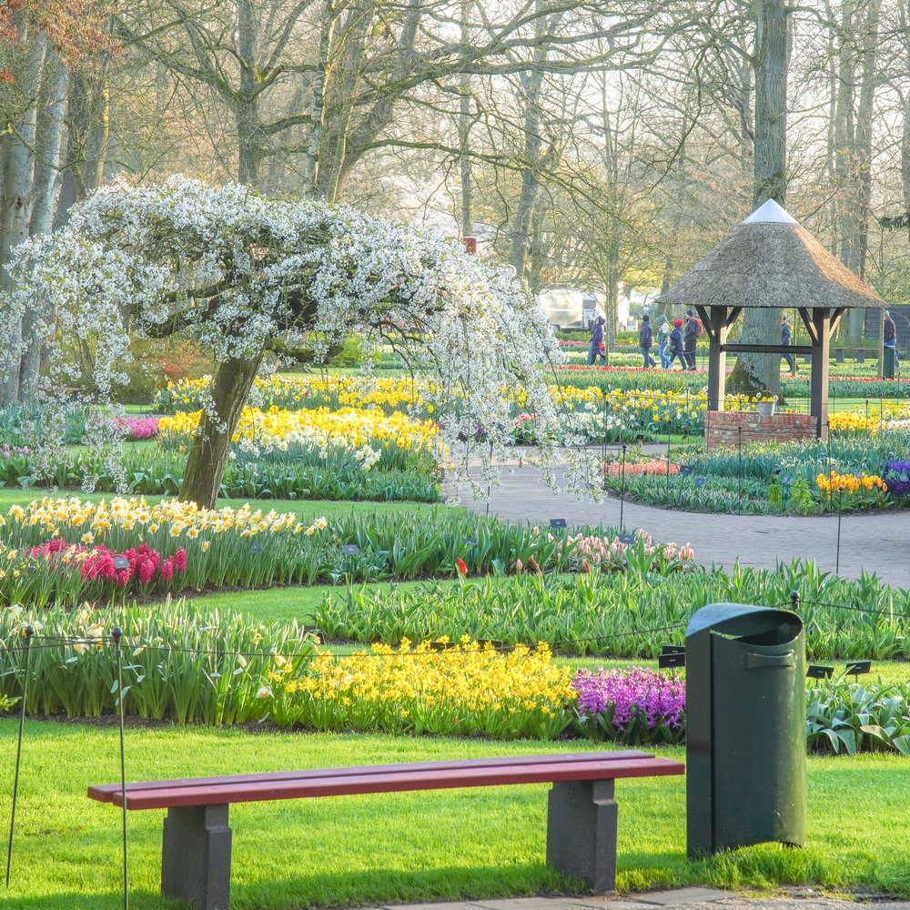 Keukenhof jardín tulipanes primavera 2023