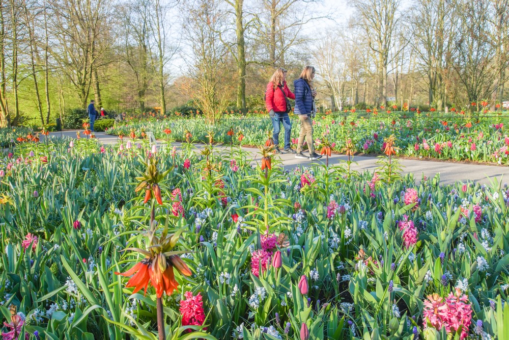 Keukenhof 2023