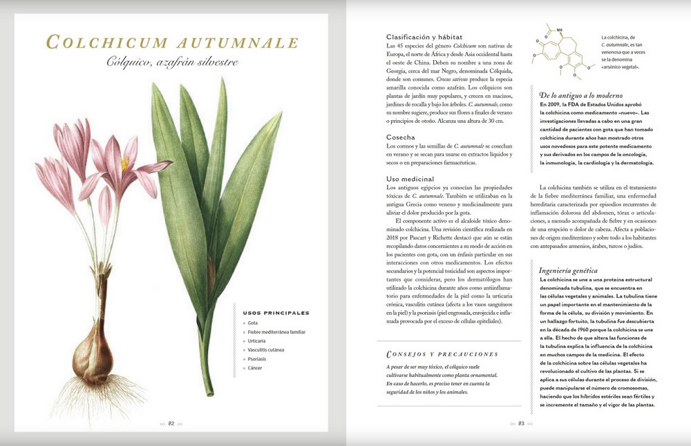 Botanicum medicinale plantas medicinales