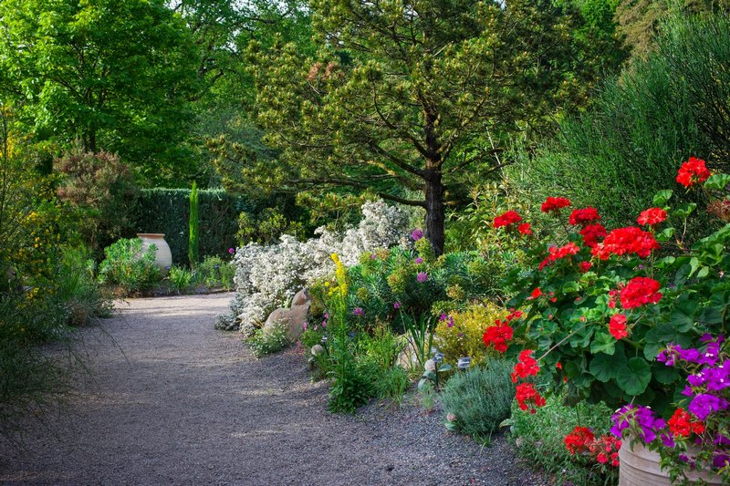 jardín mediterráneo de RHS Rosemoor