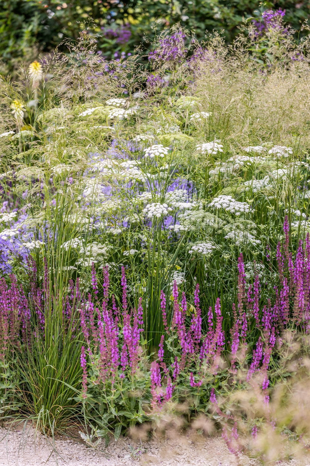 Carol Klein, la icónica heroína hortícola y su jardín en RHS Hampton Court 2023