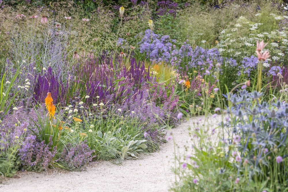 Carol Klein, la icónica heroína hortícola y su jardín en RHS Hampton Court 2023