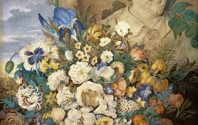 Flores de Shakespeare de Clara Maria Pope