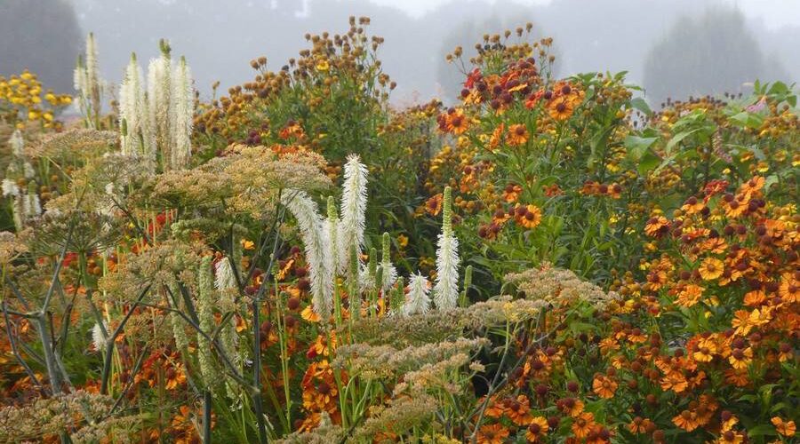 Sussex Prairie Garden