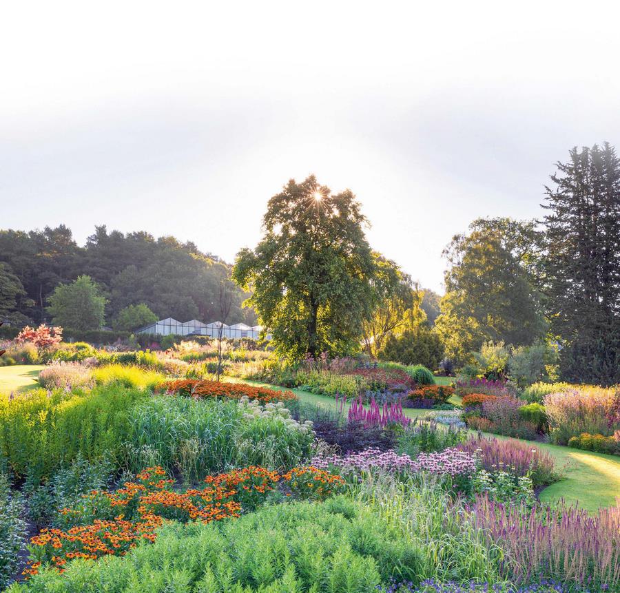 Borduras de herbáceas en RHS Garden Harlow Carr