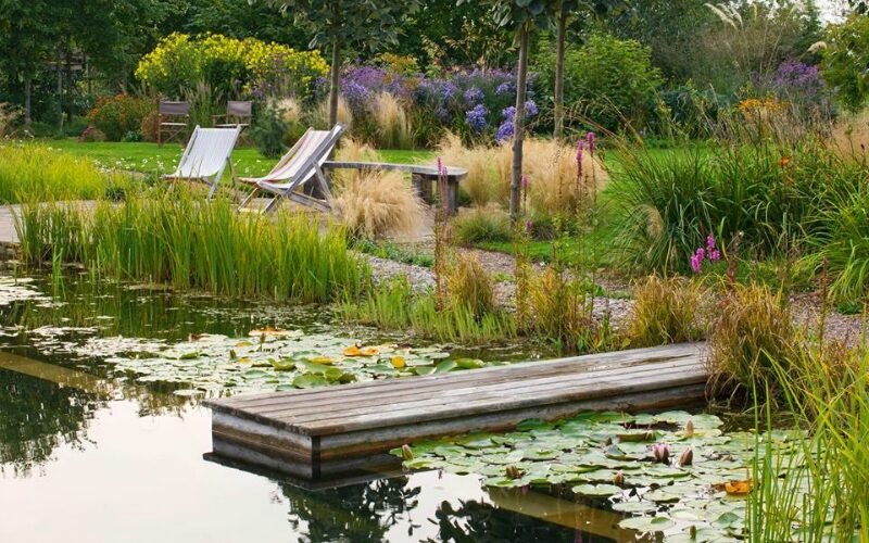 Piscina natural o biológica