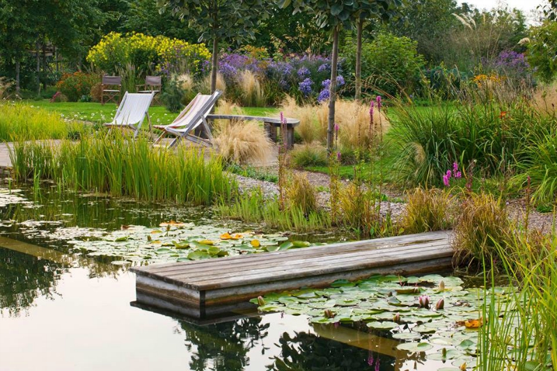 piscina naturalizada Ellicar Garden