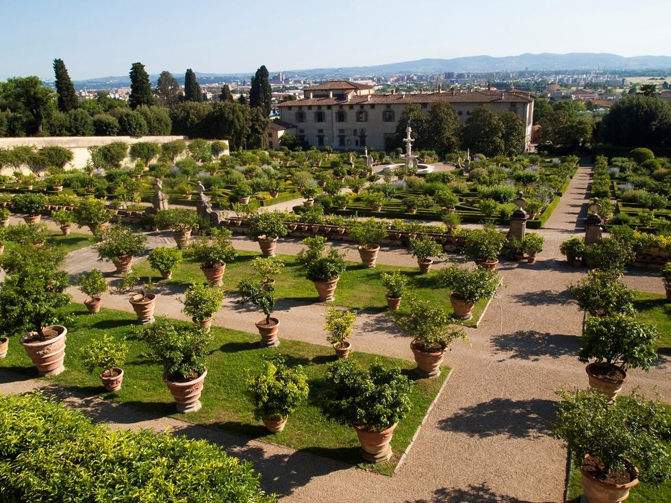 Naranjos y otros cítricos en macetas de terracota en Villa di Castello, en la Toscana