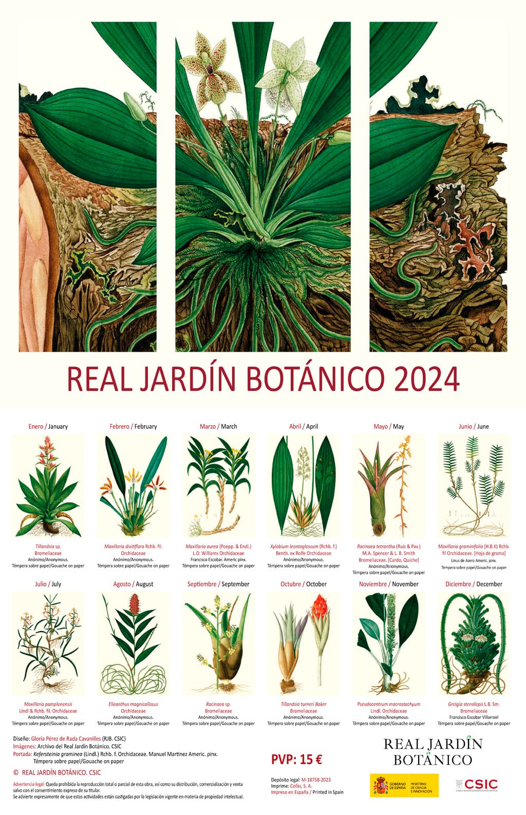 plantas aéreas calendario 2024 del Real Jardín Botánico RJB-CSIC